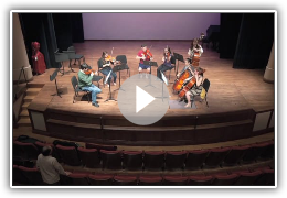 Napa Valley Youth Symphony Chamber Series at the Jarvis Conservatory